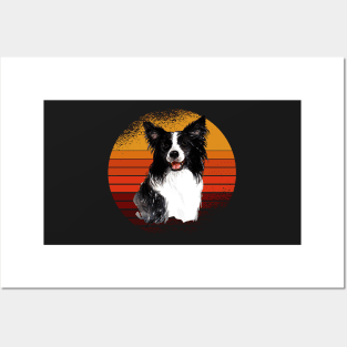 Vintage Border collie sunset, dog, dogs, puppy, sheepdog, collie mom gifts Posters and Art